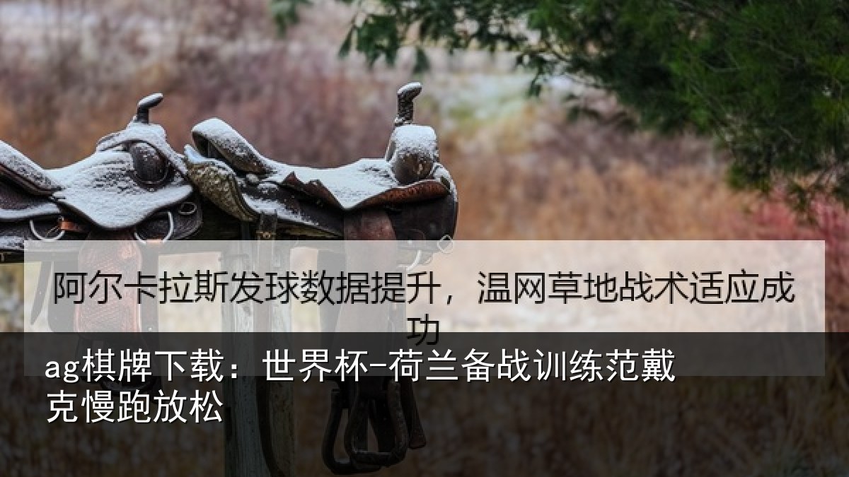 ag棋牌下载：世界杯-荷兰备战训练范戴克慢跑放松