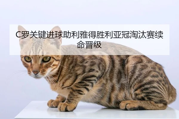 C罗关键进球助利雅得胜利亚冠淘汰赛续命晋级