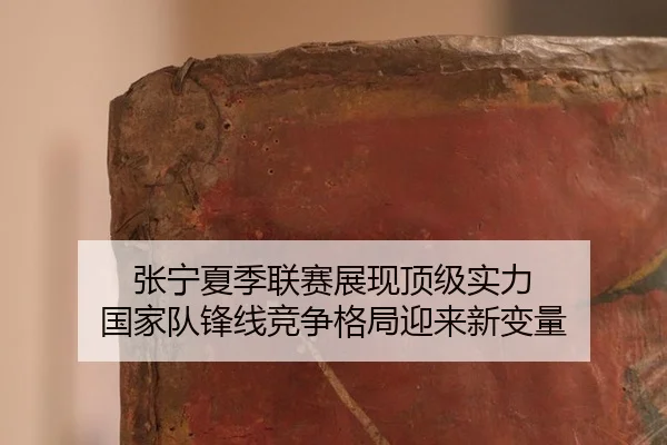 zhang-ning-xia-ji-lian-sai-zhan-xian-ding-ji-shi-li-guo-jia-dui-feng-xian-jing-zheng-ge-ju-ying-lai-xin-bian-liang-3-232.jpg