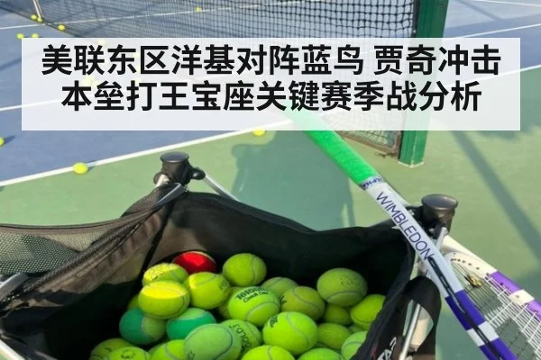 美联东区洋基对阵蓝鸟 贾奇冲击本垒打王宝座关键赛季战分析